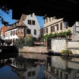  d Alsace Citotel Fotos