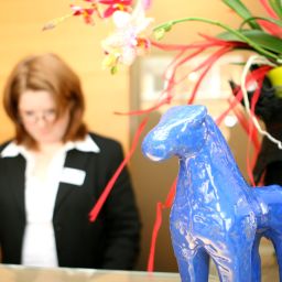 Empfang Der Blaue Reiter Fotos