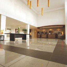 Hall Dublin Airport Radisson Blu Hotel Fotos