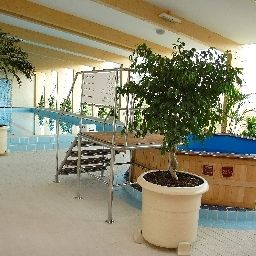 Piscina Lycium Debrecen Fotos