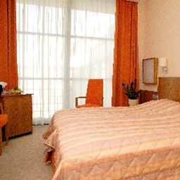  Lycium Debrecen Fotos