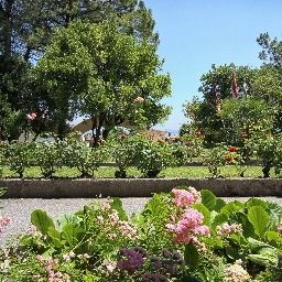  West Garda Fotos