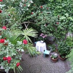 Giardino Wiener Kindl Fotos
