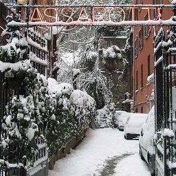  Assarotti Fotos