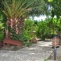 Jardin Oriente Fotos