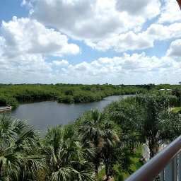 Suite DoubleTree Suites by Hilton Naples Fotos