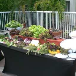 Tagungsraum DoubleTree Suites by Hilton Naples Fotos