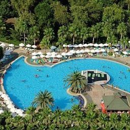 Pool Delphin Botanik Fotos