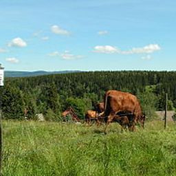  Zum Sonnenhof Fotos