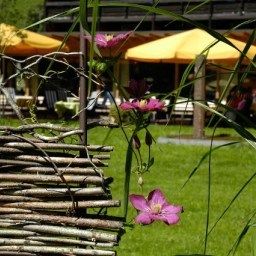 Gesundhotel Bad Reuthe Fotos