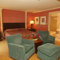 Habitación Holiday Inn NIAGARA FALLS - BY THE FALLS Fotos