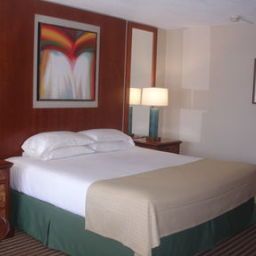 Habitación Holiday Inn NIAGARA FALLS - BY THE FALLS Fotos