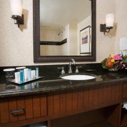 Hilton Minneapolis Fotos