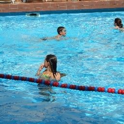 Piscine Coccodrillo Fotos