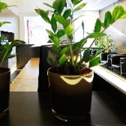 Recepción Airport Boutiquehotel Hein Fotos