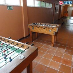  Girassol Fotos