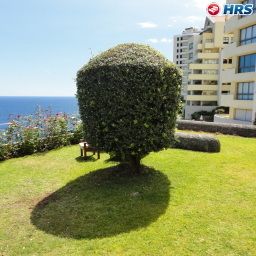  Regency Cliff Fotos