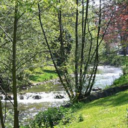 Vue Bären Garni Fotos