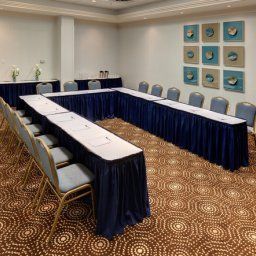 Sala konferencyjna ON Radisson Hotel & Suites Fallsview Fotos