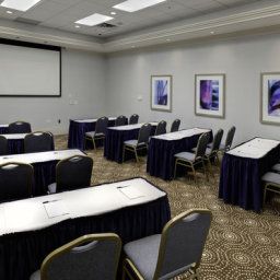 Sala konferencyjna ON Radisson Hotel & Suites Fallsview Fotos