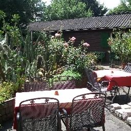 Terrasse Hirsch Landgasthof Fotos