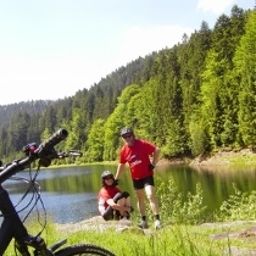  Bären Fotos
