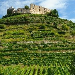 Vue extérieure Zum Löwen Gasthaus Fotos