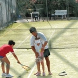  D Amato Fotos