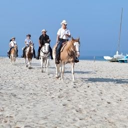  Horse Country Resort Fotos