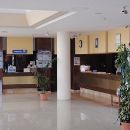 Hall Marina Delfin Verde Fotos