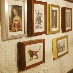  Elch Fotos