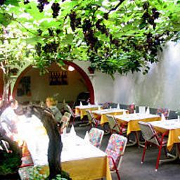Jardin Pri Mraku Fotos