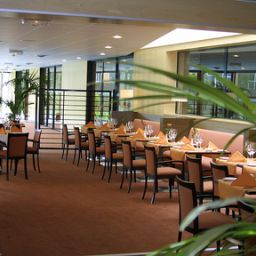Ristorante Holiday Inn TOULOUSE AIRPORT Fotos