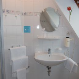  Bär Fotos