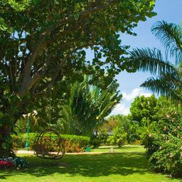 Sandals Montego Bay Jamaica Montego Bay                        