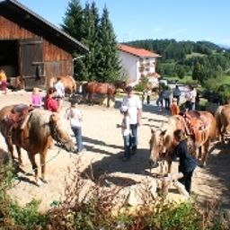  Zur Ohe Familotel Landhaus Fotos
