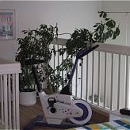 Remise en forme Zum Eichbaum Fotos