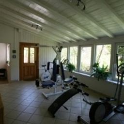 Fitness Grüner Baum Fotos