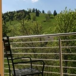 Ausblick Grüner Baum Fotos
