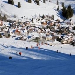 Entorno Grüner Baum Fotos