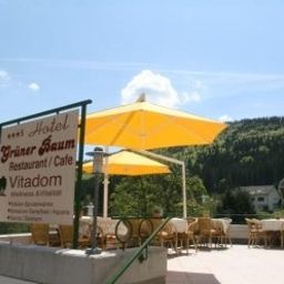 Terrasse Grüner Baum Fotos