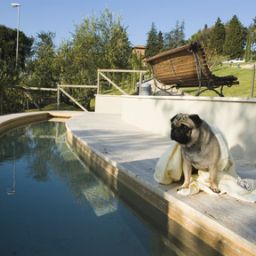 Wellness/fitness Fonteverde Tuscan Resort & Spa Fotos