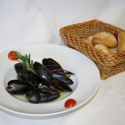  Sonata Fotos