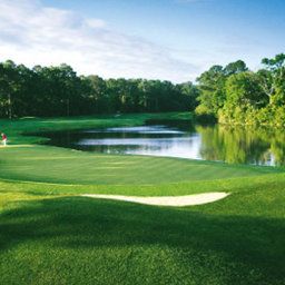 Hilton Head Marriott Resort & Spa Fotos
