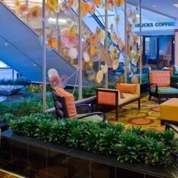  Houston Marriott at the Texas Medical Center Fotos