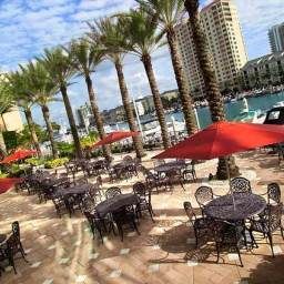 Tampa Marriott Waterside Hotel & Marina Fotos