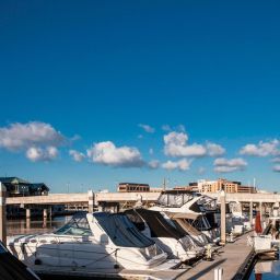 Tampa Marriott Waterside Hotel & Marina Tampa
