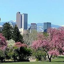  Residence Inn Denver Downtown Fotos