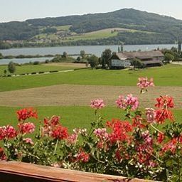 Ausblick Walkner Fotos