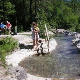  Bären Fotos
